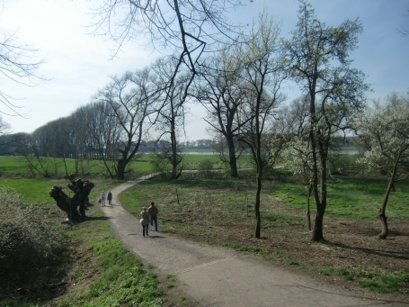 Urdenbach : Am Alten Rhein, Naturschutzgebiet Urdenbacher Kämpe